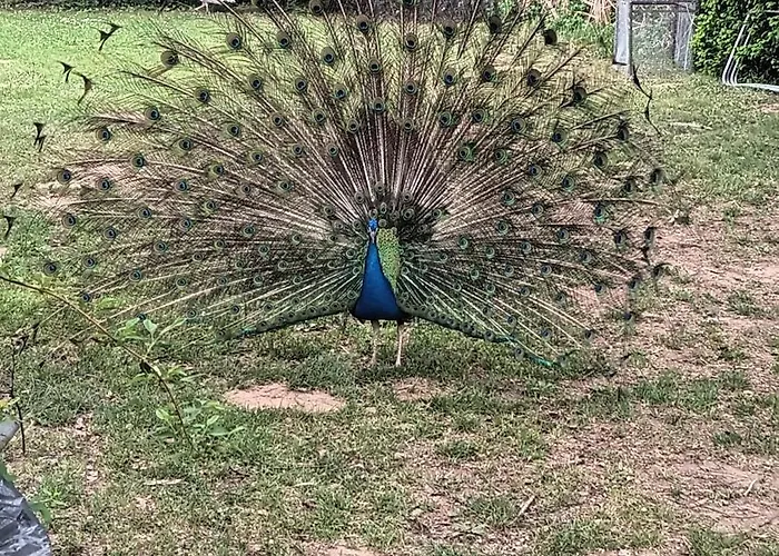 Pobrezni Chaticka Marta Дом отдыха Сазава